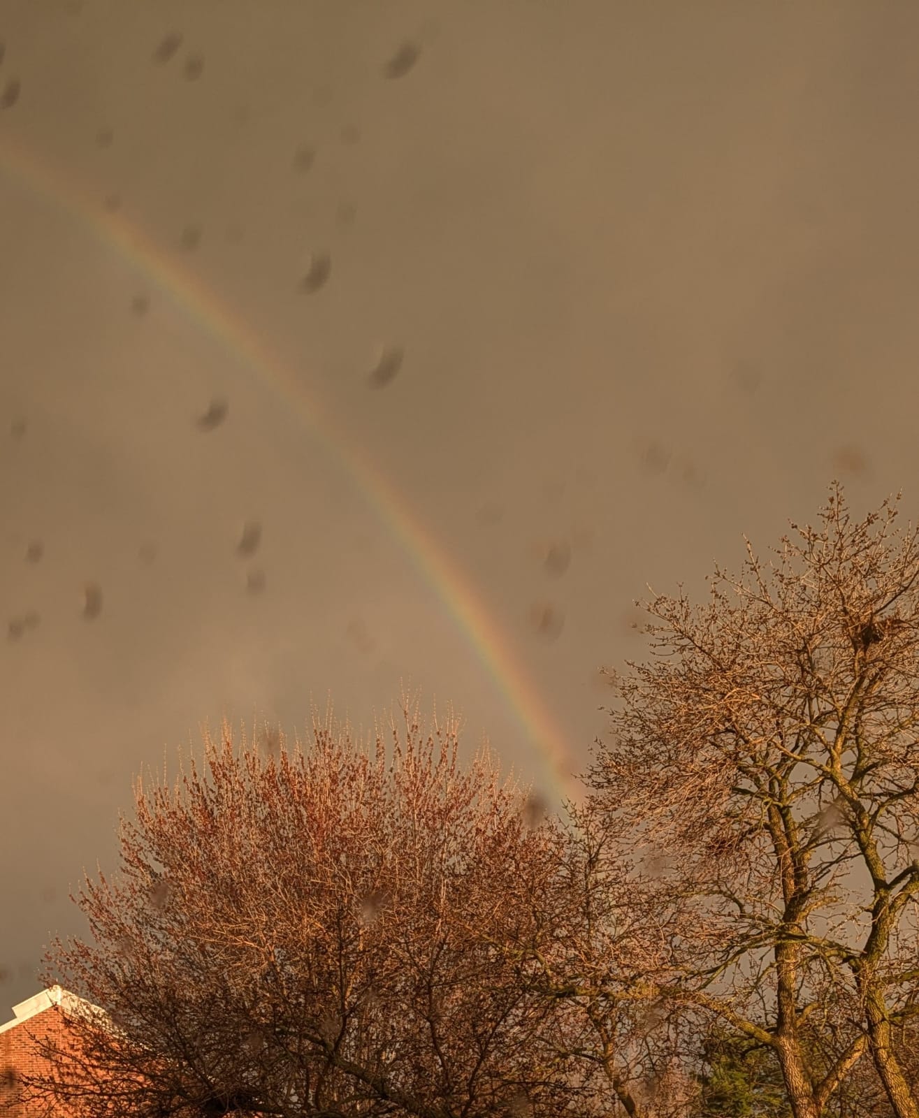 rainbow double